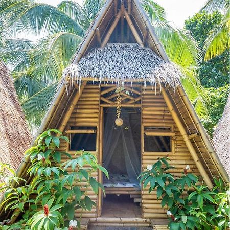 Mango Tree Eco-Hostel Dauin Exteriér fotografie